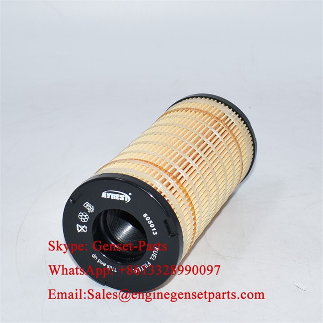 605013 OEM